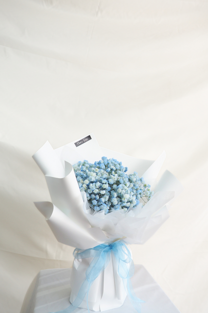 Bluebell Sky Gypsophila