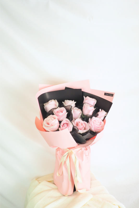 Cove Blush Pink Rose